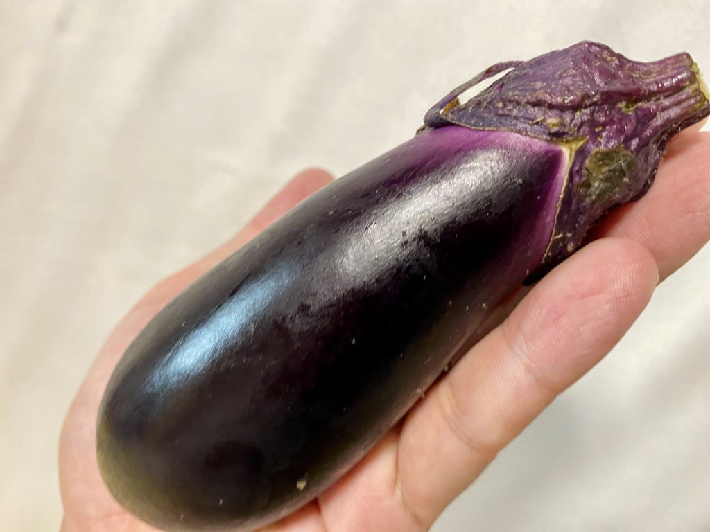 らでぃっしゅぼーや　なす　大きさ